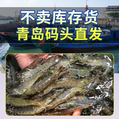 青岛大虾特大鲜活基围虾新鲜海虾盐冻虾整箱海水虾海鲜批发图3
