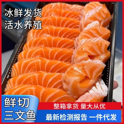新疆三文鱼冰鲜中段当天现切挪威大西洋鲑鱼去刺身整条生鱼片鲑鱼