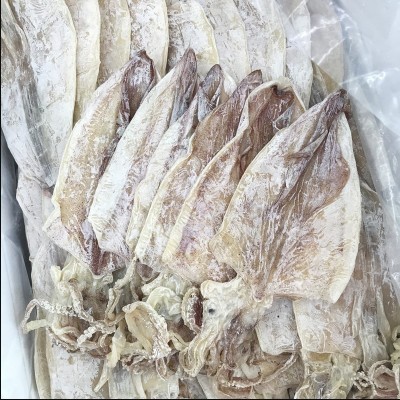 烧烤手撕大鱿鱼干圆鱿芥末北海特产A2淡干海产干货特产散装批发图3