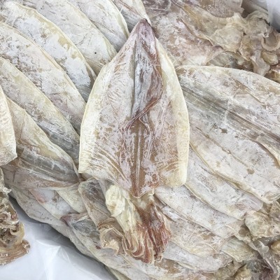烧烤手撕大鱿鱼干圆鱿芥末北海特产A2淡干海产干货特产散装批发图4