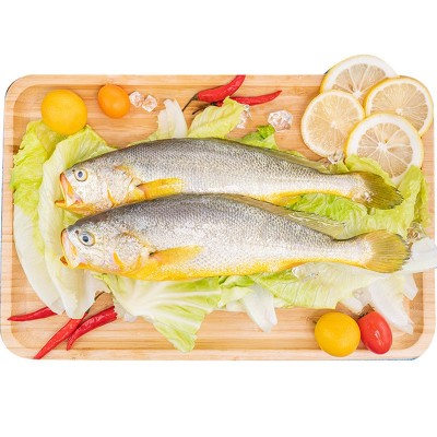 【养殖厂家直供 】宁德三去大黄鱼 去麟去腮去内脏黄花鱼冰冻海鲜图4