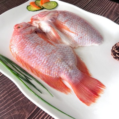 红星斑 珍珠斑红鲷鱼海鲜鲜活新鲜冰冻彩虹鲷开背三去半成品商用图3