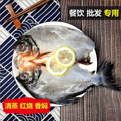 红鲳鱼 清蒸红烧香焖350-1000g新鲜鲜活冰冻水产开背三去腌制鲳鱼