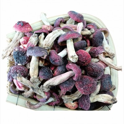 正红菇干货 武夷山红菇 菇丁月子红菇红椎菌干品煲汤食材批发图5