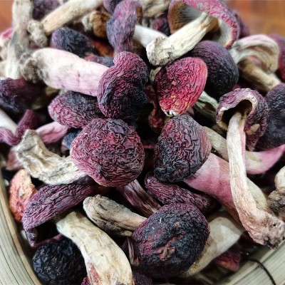 正红菇干货 武夷山红菇 菇丁月子红菇红椎菌干品煲汤食材批发图3