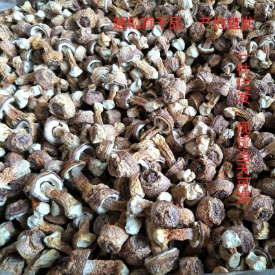 云南特产本色姬松茸干货2斤 巴西菇 汤料包菌菇大货批发一件代发图3