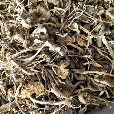云南特产鸡枞菌1000g 蘑菇菌干货散装零售批发一件代发图3