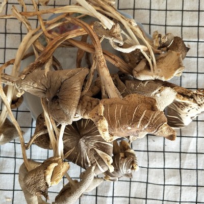 云南特产鸡枞菌1000g 蘑菇菌干货散装零售批发一件代发图5