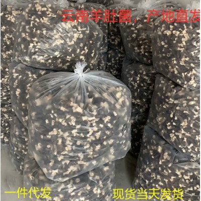 剪柄羊肚菌干货2斤 云南高原特产农产品 大货批发南北干货 汤料包图2