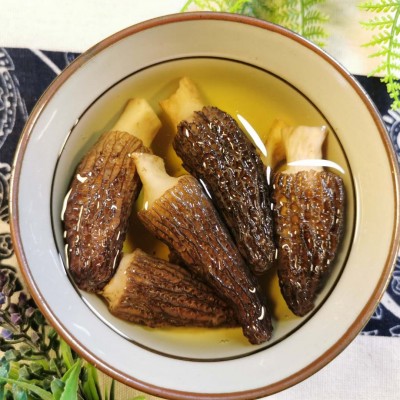 剪柄羊肚菌干货2斤 云南高原特产农产品 大货批发南北干货 汤料包图5