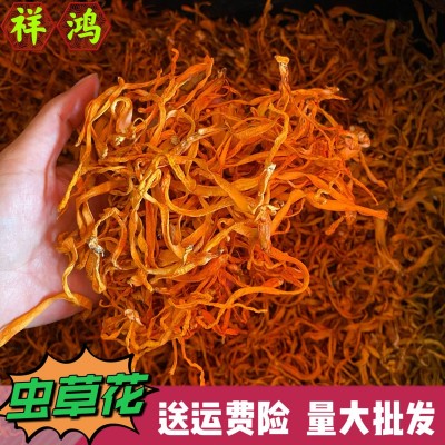 【虫草花】包邮 金虫草产地直销蛹虫草干虫草花淘宝货源 一件代发图3