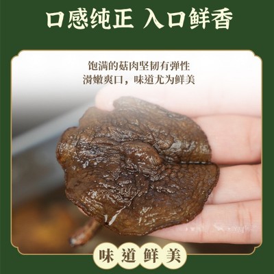 东北特产野生松蘑菇干货250g粘团子松蛾粘蛾子松蘑野生松菇批发图3