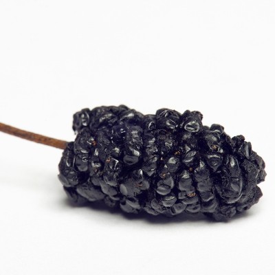 新疆黑桑葚干415g/瓶新鲜精品大果泡酒 泡水无沙桑椹子图4