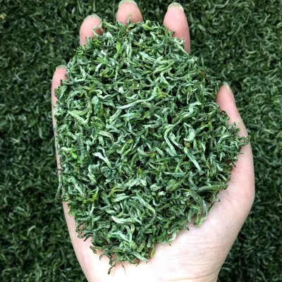 批发明前碧螺春高山云雾茶炒青散装绿茶2023年新茶春茶苏州源产图2