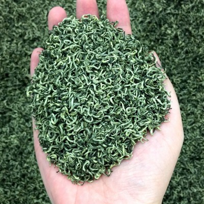 批发明前碧螺春高山云雾茶炒青散装绿茶2023年新茶春茶苏州源产图3
