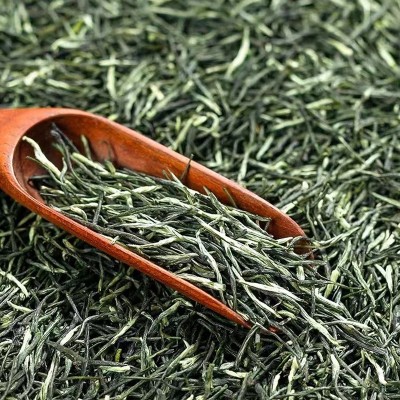 信阳毛尖厂家批发2023年新茶明前毛尖茶特级散装绿茶礼盒送礼500g