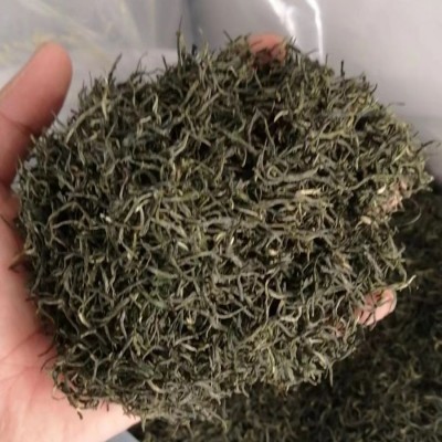 信阳毛尖 一级茶叶绿茶2023新茶厂家批发毛尖 雨前春茶散装500g图3