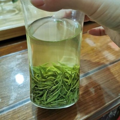 信阳毛尖 一级茶叶绿茶2023新茶厂家批发毛尖 雨前春茶散装500g图2