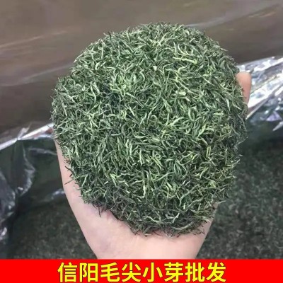 厂家定制批发2023春茶信阳毛尖散称茶叶一级雨前高山毛尖绿茶图3