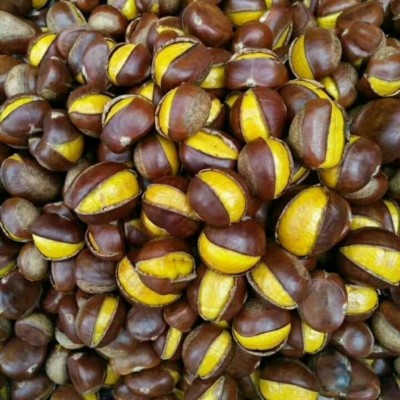 栗仁熟板栗炒熟糖炒栗子山东板栗新鲜糯即食现炒散装坚果零食礼盒3斤2件图4