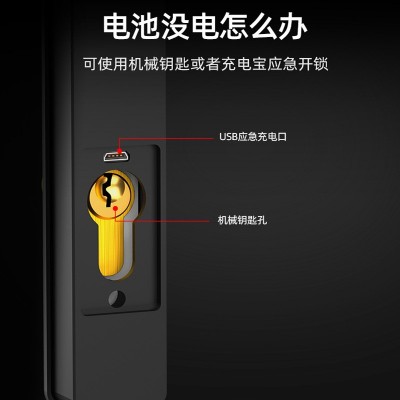 断桥铝指纹锁肯德基平移门窄边推拉门APP防水户外密码智能电子锁图2