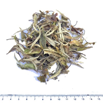 【欧盟有机白茶】欧盟有机花香白牡丹白茶产地厂家批发散茶图5