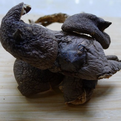 云南干鸡枞 火把鸡枞 菌菇 250克/袋 煲汤菌菇图4