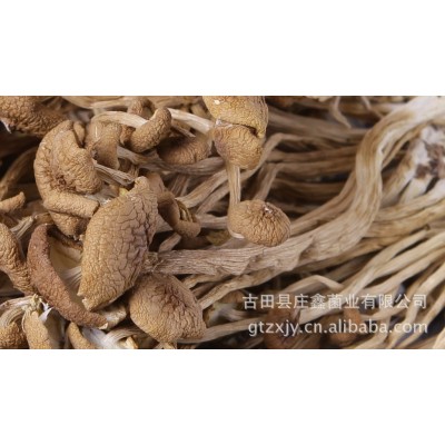庄鑫古田新货农家特级开伞剪跟干茶树菇特产干货食材一箱12公斤图3