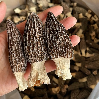云南羊肚菌干货500g煲汤礼盒农产品营养山珍批发通货食用菌直销图2