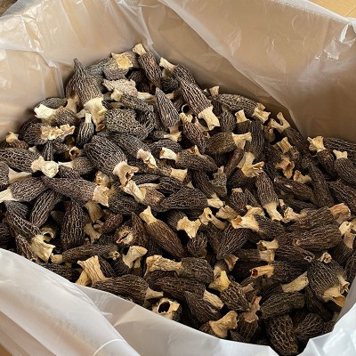 云南羊肚菌干货500g煲汤礼盒农产品营养山珍批发通货食用菌直销图3