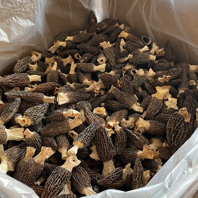 云南羊肚菌干货500g煲汤礼盒农产品营养山珍批发通货食用菌直销图5