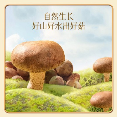 香菇干货香菇200克珍锦荟香菇干度适中口感嫩滑产地优选图3