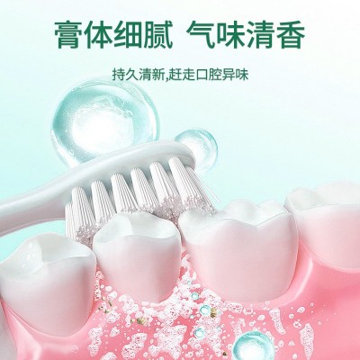 葵花清火护龈青蒿牙膏 清新口气牙渍牙垢除口臭异味口腔护理牙膏图2