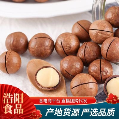 薄皮奶油味夏威夷果代发批发250g 大颗奶香味胡桃果开口夏威夷果图5