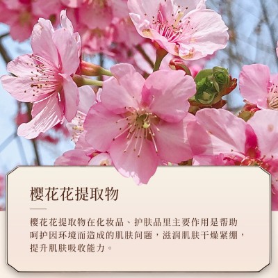 韩芬樱花香氛身体乳 补水保湿滋润提靓细滑肌肤 润肤乳护肤品批发图3