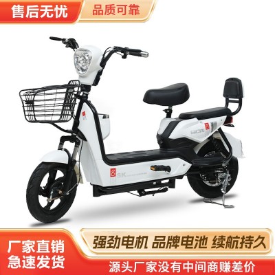 跨境新国标两轮电动车成人电瓶自行车上牌挂牌男女小型电动车图5