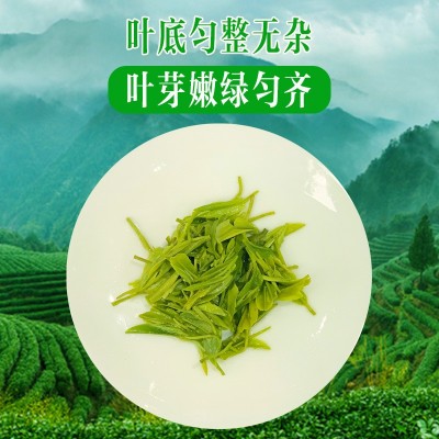 绿茶恩施玉露新茶明前春茶蒸青工艺开春头采散装批发支持贴牌图3