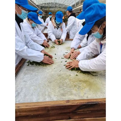 西萃御品湖北恩施富硒茶新茶高山茶恩施硒臻玉露明前春图3
