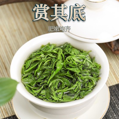 买一送一 绿茶2023新茶春茶碧螺春日照高山云雾茶叶罐装产地直销图3