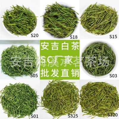 现货正宗新茶安吉白茶茶叶绿茶货源批发厂家直销散装500g一件代发图4