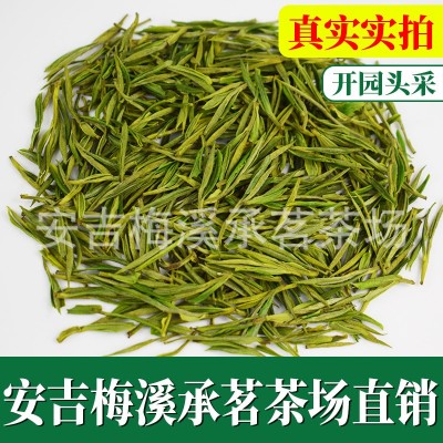 头采明前精品安吉白茶2022年新茶预定正宗原产地茶叶绿茶散装批发图5