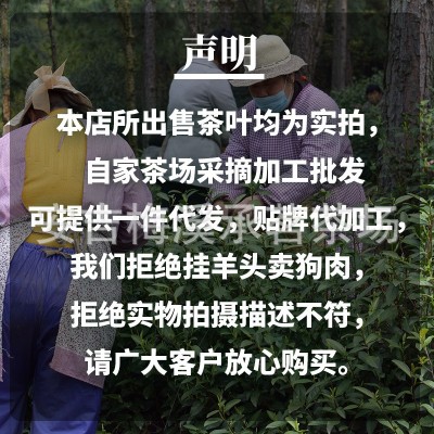 头采明前精品安吉白茶2022年新茶预定正宗原产地茶叶绿茶散装批发图3