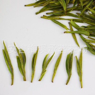 头采明前精品安吉白茶2022年新茶预定正宗原产地茶叶绿茶散装批发图2