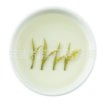 头采明前精品安吉白茶2022年新茶预定正宗原产地茶叶绿茶散装批发