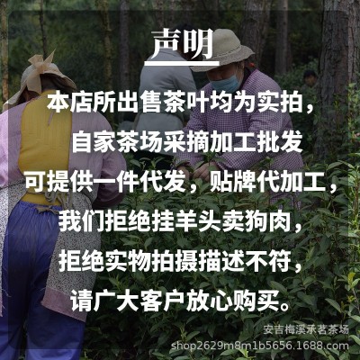 现货 黄金芽茶叶2022新茶黄金叶正宗安吉白茶黄金茶厂家批发散装图2