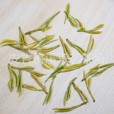 正宗安吉奶白茶黄金芽茶叶绿茶2022新茶安吉白茶厂家直销一手货源图3