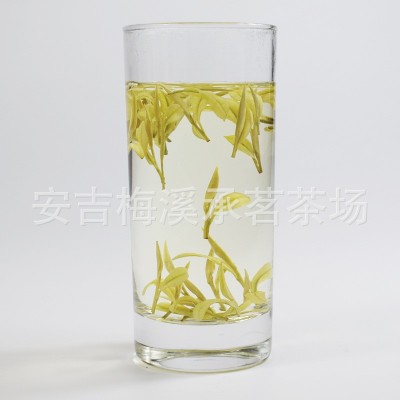 正宗安吉奶白茶黄金芽茶叶绿茶2022新茶安吉白茶厂家直销一手货源图4