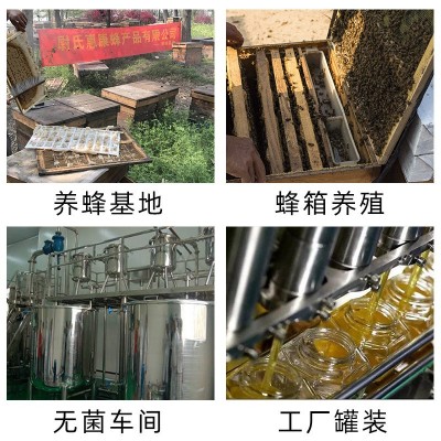 土蜂蜜瓶装蜂蜜500g百花枣花槐花椴树枸杞蜜土蜂蜜源头工 厂蜂蜜图3