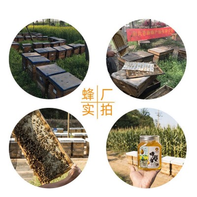 蜂巢蜜500g蜂蜜批发百花蜜土蜂蜜椴树蜜农家自产批发源头厂家代发图2