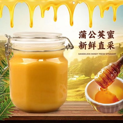 蒲公英蜂蜜500g结晶蜂蜜源头厂家一件代发蒲公英结晶蜜原蜜批发图3